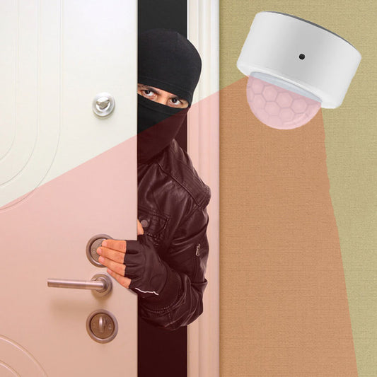 Human Motion Sensor For Smart Home